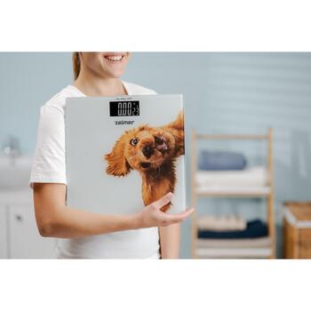 Zelmer Vannas istabas svari ZBS1010 60705631P, 180 kg, 2,5-180 kg, 100 g, LCD ar fona apgaismojumu, rūdīts stikls (60705631P)