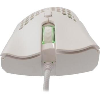 Baracuda CORAL-W BGM-032, White (CORAL-W)