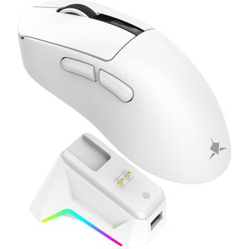 White Shark Мышь GAWAIN-W, 500mAh, 12000DPI, 56g, 5 кнопок, зарядка USB-C, Bluetooth 5.2, RF 2.4 GHz (GAWAIN-W)