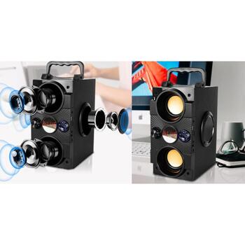 Manta Караоке колонка SPK8170000001, 16W, 10ч, FM радио, Bluetooth, USB-C, MicroSD, проводной микрофон (SPK8170000001)