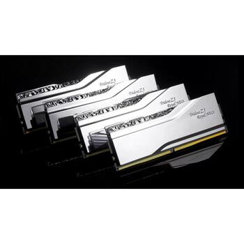 G.Skill Оперативная память DIMM F5-6000J2836G16GX2-TR5NS 32 ГБ DDR5 6000 МГц 288-pin, 2 x 16 ГБ, CAS 28, Двухканальная (F5-6000J2836G16GX2-TR5NS)
