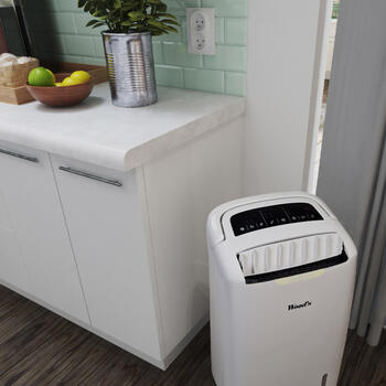 Gaisa sausinātājs AD30 Hybrid 01794 Wood‘s (01794)
