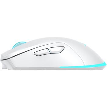 Baracuda Pele TURTLE-W BGM-122, 3200 DPI, 6 pogas, 95 g, bezvadu, RF 2.4 GHz, apgaismojums (TURTLE-W)