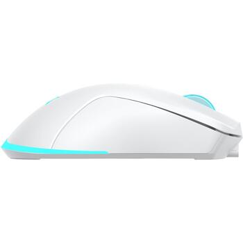 Baracuda Pele TURTLE-W BGM-122, 3200 DPI, 6 pogas, 95 g, bezvadu, RF 2.4 GHz, apgaismojums (TURTLE-W)