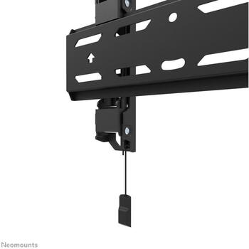 Neomounts настенный крепеж WL30S-850BL12 фиксированный 24-65
