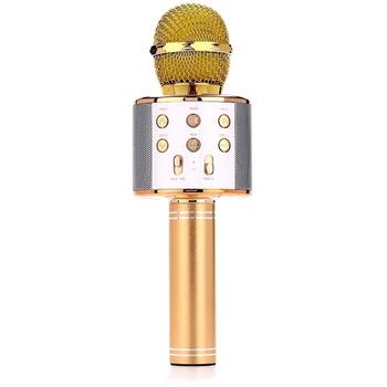 Manta MIC10-G Gold, караоке-микрофон с динамиком, 5 Вт, Bluetooth 5.0, MP3, micro SD, AUX, USB, модуляция голоса, эхо (MIC10-G)