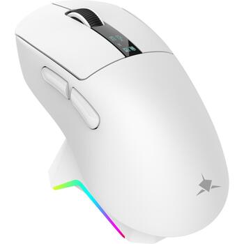 White Shark Мышь GAWAIN-W, 500mAh, 12000DPI, 56g, 5 кнопок, зарядка USB-C, Bluetooth 5.2, RF 2.4 GHz (GAWAIN-W)