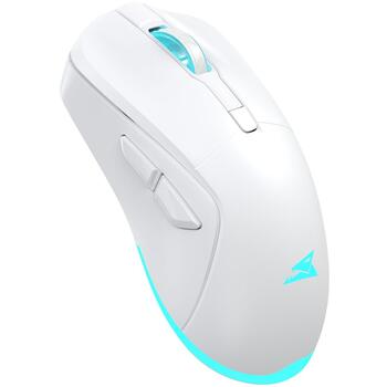 Baracuda Pele TURTLE-W BGM-122, 3200 DPI, 6 pogas, 95 g, bezvadu, RF 2.4 GHz, apgaismojums (TURTLE-W)