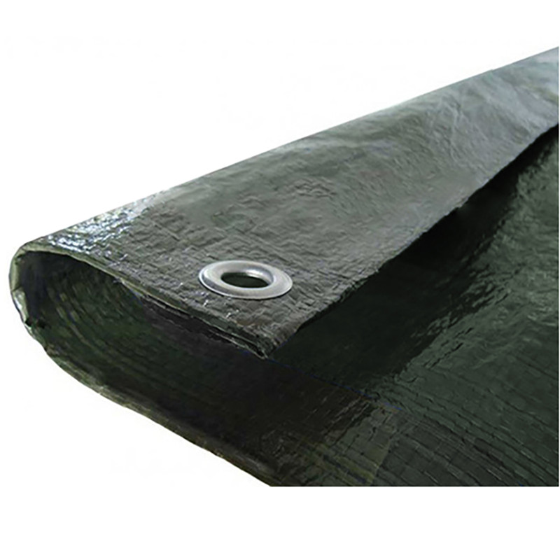 Pārklājs 4*6m 120g/m2 000165 (000165)