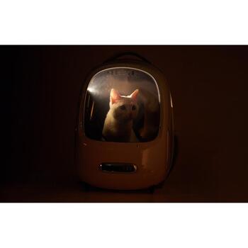 Petkit Рюкзак для домашних животных Breezy 2, P7704, 1.4кг, ABS, PC, ткань, 33x30x45см, эргономичный, вентиляция, освещение (P7704 Pink)