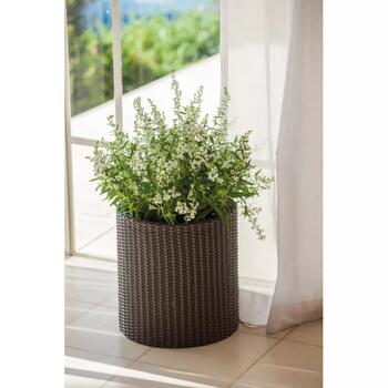 Keter Small Cylinder Planter 29197833590, 28x28x28,5cm, brūns, rotangpalmas dizains, laikapstākļiem izturīgs (29197833590)