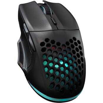 Baracuda Игровая мышь PENGUIN-B, 6 кнопок, 3600 DPI, USB 2.0, 1.5m, черный, подсветка, для правой руки (PENGUIN-B)