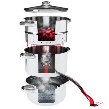 Browin 800505 tvaika sulu spiede un tvaikonis, 5L, nerūsējošais tērauds, 31,2x23,5x35cm, 1,95kg (800505)