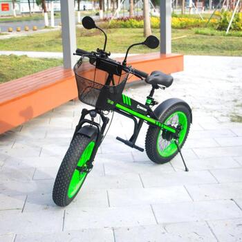 Manta Электрический самокат MES2002N, 350W, 20km/h, 50km, 14Ah, 120kg, вентилируемые дисковые тормоза, LED освещение (MES2002N)