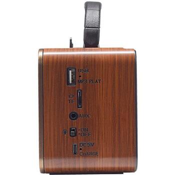 Tracer Радио TRARAD47774, Портативное FM, 1200mAh, Bluetooth, MP3, AUX, FM, AM, USB, TF (TRARAD47774)