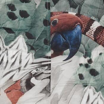 Lodger Skier BotAnimal комбинезон SK 595_6-12, размер 74, 100% полиэстер, 100% флис, водоотталкивающий, дышащий (SK 595_6-12)