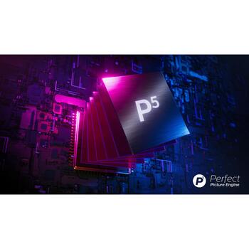 Philips QLED televizors 55PQS8611/12, 55 collas, 4K Ultra HD, 3840 x 2160 pikseļi, 60 Hz, Smart TV, Titan OS, Ambilight (55PQS8611/12)