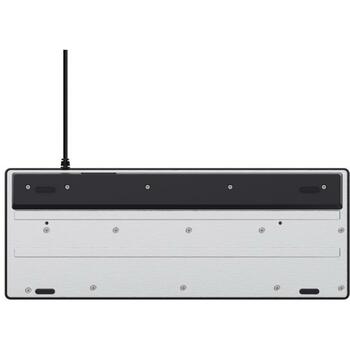 Trust GXT 833 Thado TKL, USB, 87 клавиш, RGB LED подсветка, 1.5 м кабель, черный (25886)