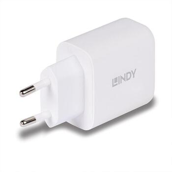 Lindy зарядное устройство 73428 65W, 100-240V, 20V, 2 USB порта, быстрая зарядка, защита от перегрузки, белый (73428)