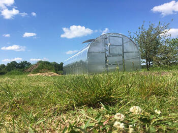 Siltumnīca BALTIC LT 3 x 10m - 4mm polikarbonāta 4779037491285 KLASIKA GREENHOUSE (4779037491285)
