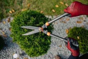 Hedge pruning shears, BRADAS, KT-V1111, 20 cm taisna asmens, ergonomiskas rokturi (KT-V1111)