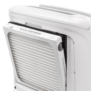 HEPA filtrs gaisa sausinātājiem AD20 un AD30 01812 WOOD'S (01812)
