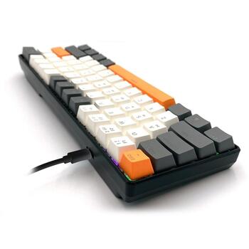 Media-Tech MT1258 Zone 61, механическая клавиатура, 61 клавиша, 19 режимов подсветки, anti-ghosting, USB-C, 1.6m (MT1258)