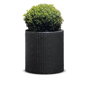 Keter Puķu pods Large Cylinder Planter 29197837939, 43,7x43,7x44,3cm, 2,81kg, rotangpalmas dizains, ūdens regulēšanas atvere (29197837939)