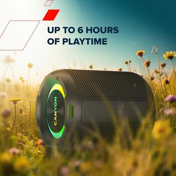 Портативная Bluetooth колонка мощностью 20 Вт с защитой от воды IPX6 TWS соединением и EQ + RGB подсветкой OnMove 11 Чёрная CNE-CBTSP11 CANYON (CNE-CBTSP11)