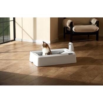 Petkit Purobot Crystal Duo с камерой, P9905, 5.65кг, 0.07м3, AI камера, самоочистка, двустороннее сгребание (P9905)