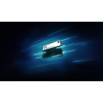 Kingston Название 7.68TB DC3000ME U.2 PCIe 5.0 NVMe TCG Opal Enterprise SSD SEDC3000ME/7T6, 7.68TB, 14000MB/s, 10000MB/s (SEDC3000ME/7T6)