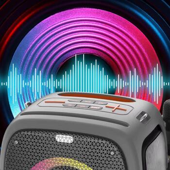 Manta Караоке колонка SPK3400000001, 100W, 10ч, IPX5, Bluetooth, AUX, Микрофон, USB, MicroSD, LED (SPK3400000001)