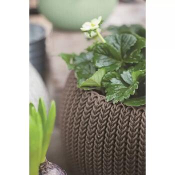 Keter Cozy M karināmais puķu pods 29202379507, 36x36x22,5 cm, 1,10 kg, ar piekāršanas komplektu, brūns (29202379507)