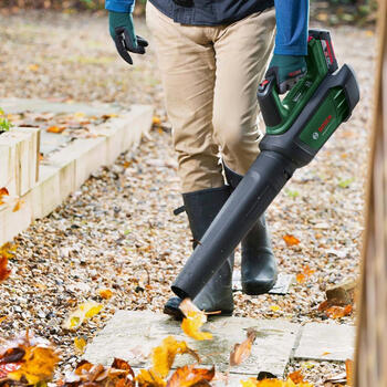 Воздуходувка аккумуляторная AdvancedLeafBlower 36V-750, 1x2Ah, 06008C6000 BOSCH (06008C6000)