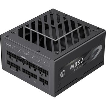 Gamemax barošanas bloks GZ 750G, 750 W, Zelta, Pilnībā modulārs, 135 mm ventilators, 1 x 24 pin ATX, 1 x 8 pin EPS12V (GZ 750G)