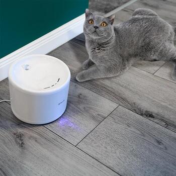 Tellur Smart WiFi диспенсер для воды для домашних животных TLL331471, 2L, DC 5V/1A, УФ стерилизация (TLL331471)