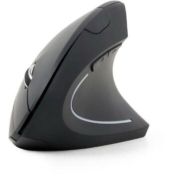 Gembird USB оптическая беспроводная мышь MUSW-ERGO-01, 1600 DPI, 6 кнопок, RF беспроводная, эргономичный дизайн, батарея AA (MUSW-ERGO-01)