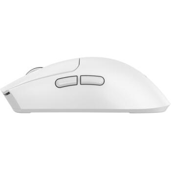 Baracuda Компьютерная мышь MORAY BGM-132 MORAY-W, Белая, 3200 DPI, 125 Hz, 6 кнопок, 65 г, 2.4 GHz, Bluetooth, Оптический сенсор (MORAY-W)