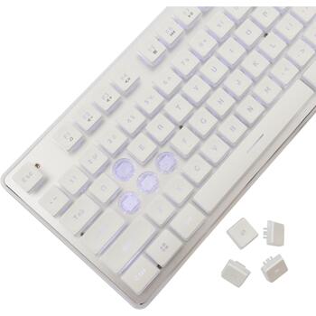 White Shark Tachi клавиатура TACHI-W-US, 104/105 клавиш, USB 2.0, 1,5м кабель, подсветка, мультимедийные клавиши (TACHI-W-US)