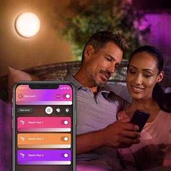 Philips Hue Уличный настенный светильник Daylo 8718696174418, 15Вт, 1060лм, IP44, 2000-6500K, LED, Bluetooth/Zigbee (8718696174418)