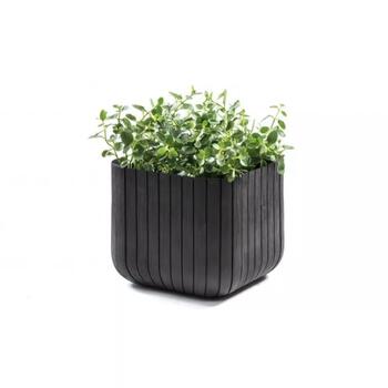 Keter Cube Planter S 29202066939, 29,5x29,5x29,7cm, pelēks, dubultsienu, laikapstākļiem izturīgs (29202066939)