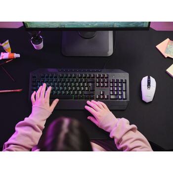 Trust USB оптическая мышь GXT 110 FELOX 25069, 4800 DPI, 6 кнопок, RF беспроводная, аккумулятор, многоцветная подсветка (25069)