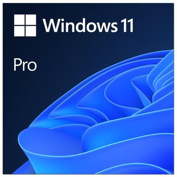 Microsoft Windows 11 Pro FQC-10572, ESD, 1 лицензия, Windows 11 Pro - 64-бит, все языки (FQC-10572)