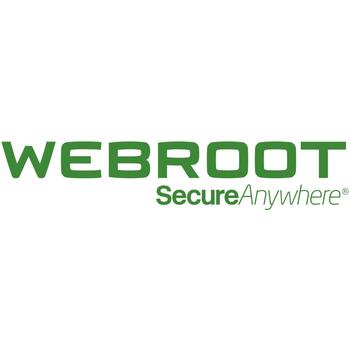 Webroot Защита DNS с GSM Консолью 152300001B, 1 год, 10-99 пользователей, подписка (152300001B)