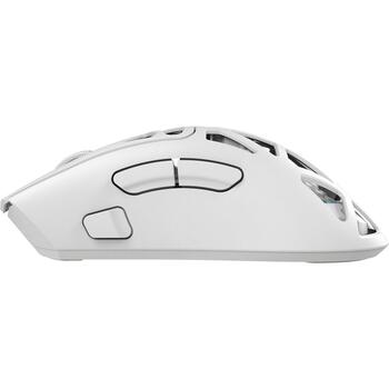 White Shark MORIEN WGM-5025 MORIEN-W, игровая мышь, 6 кнопок, 6200-12000 DPI, 1000 Гц, 2.4 ГГц/BT/провод, RGB, 400 мАч, 67 г (MORIEN-W)