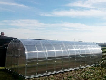 Теплица KLASIKA 24 - 3 x 8м - 6мм поликарбонат KLASIKA GREENHOUSE (4779037490240)