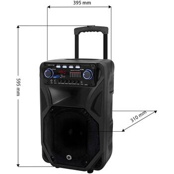 Manta Караоке колонка SPK5021PRO, 80 W, 12 дюймов, 2x входа для микрофона, Bluetooth, FM радио, 5 ч воспроизведения (SPK5021PRO)
