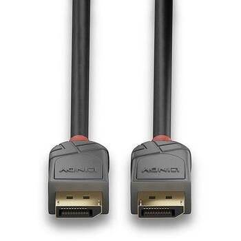 Lindy DisplayPort kabelis 36481 1m, 28AWG, 32.4Gbps, 7680x4320@60Hz, 4:2:2, taisns kontakts, ABS, RoHS, REACH, UL (36481)
