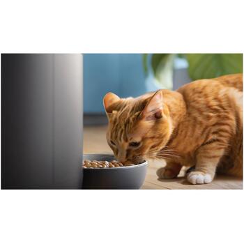 Philips Viedā barotava ar kameru PAW5320/02, 4,5 L, akumulators, Wi-Fi, kamera, grafiks, privātuma režīms (PAW5320/02)