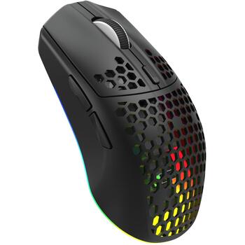 White Shark CADOR WGM-5020 CADOR-BH, игровая мышь, 6 кнопок, 6400-10000 DPI, 1000 Гц, 2.4 ГГц/BT/провод, RGB, 500 мАч, 69 г (CADOR-BH)